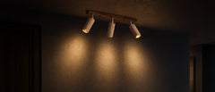 Ceiling Lights