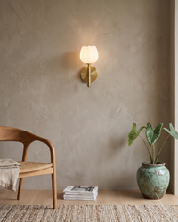 KEXIME - Körven Studio