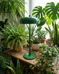 Table Lamp | NARI - Körven Studio